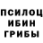 Галлюциногенные грибы прущие грибы Robbie Hogg
