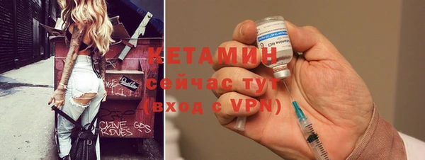 прущие грибы Вязьма