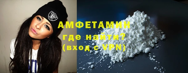 прущие грибы Вязьма