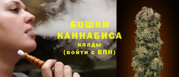 дурь Горняк