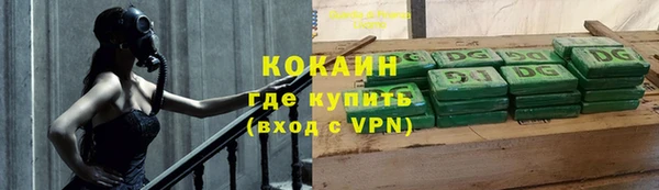 прущие грибы Вязьма