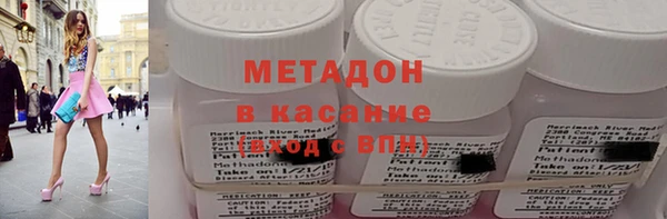 прущие грибы Вязьма