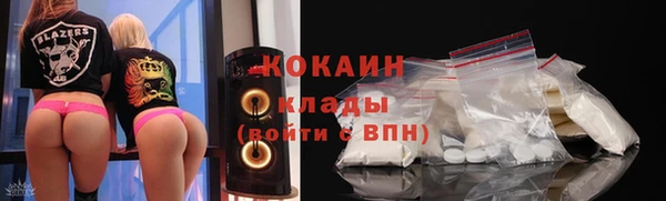 прущие грибы Вязьма