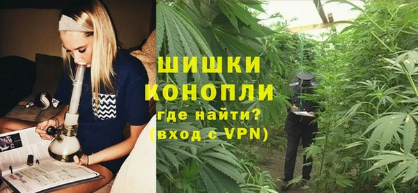 прущие грибы Вязьма