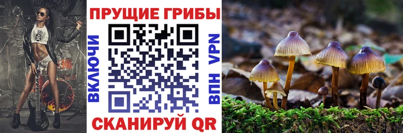 OMG вход  Обоянь  Псилоцибиновые грибы ЛСД 